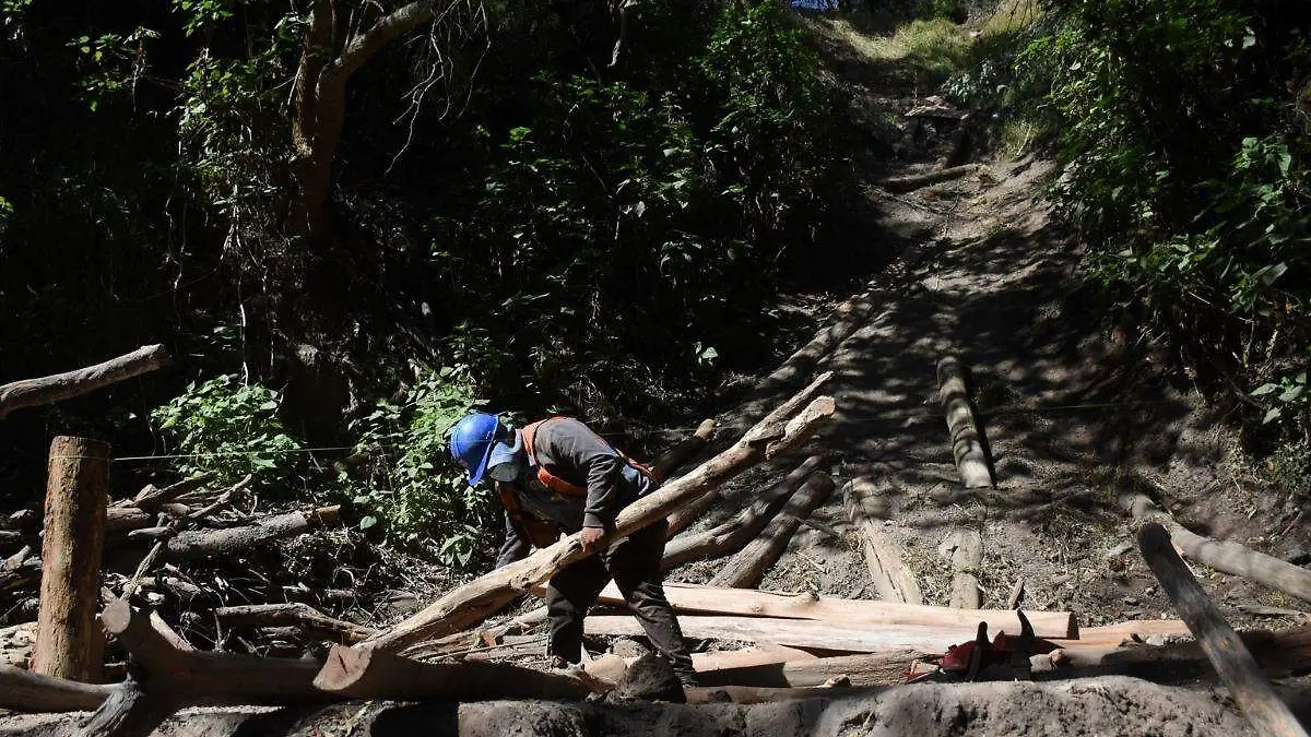 CDMX lanza convocatoria para limpiar barrancas